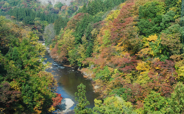 上小阿仁村ツアー2008